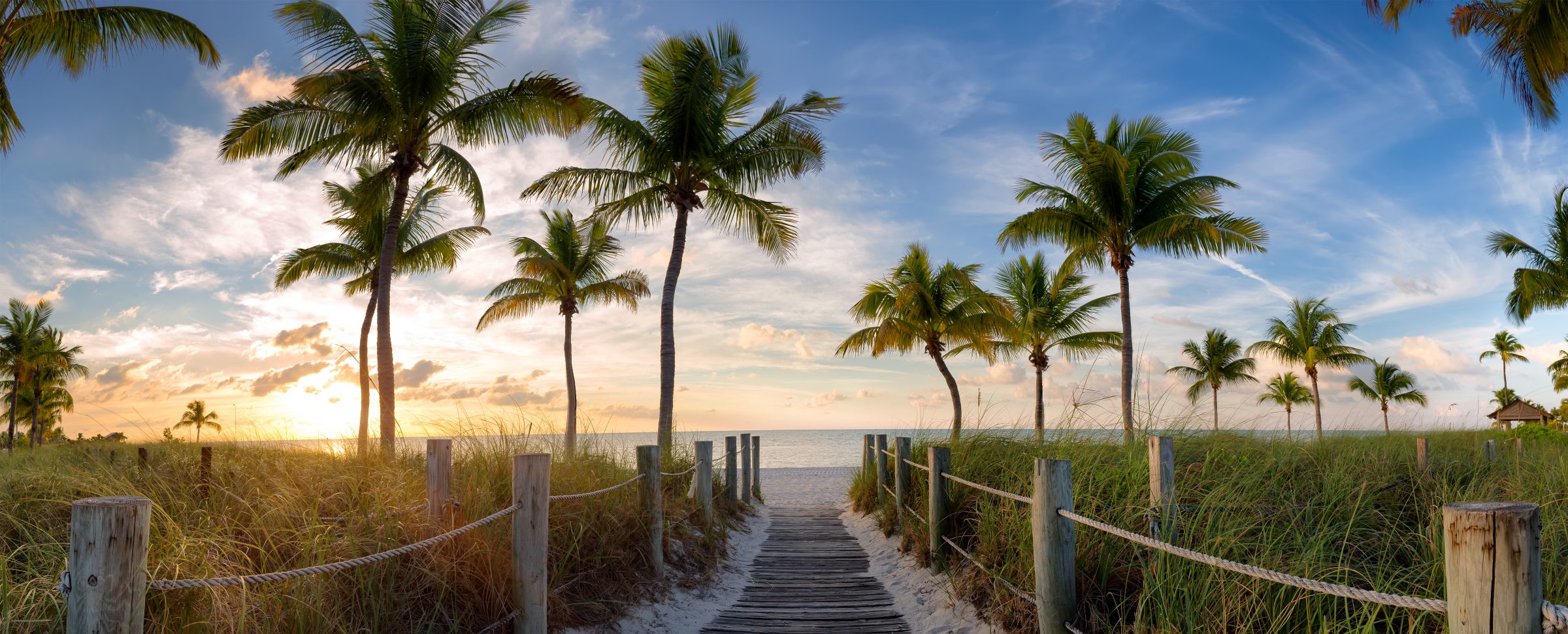 Florida Keys shoreline