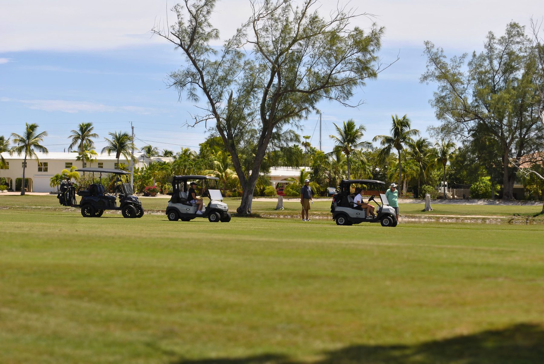 FIRM Golf Tournament — photo 8