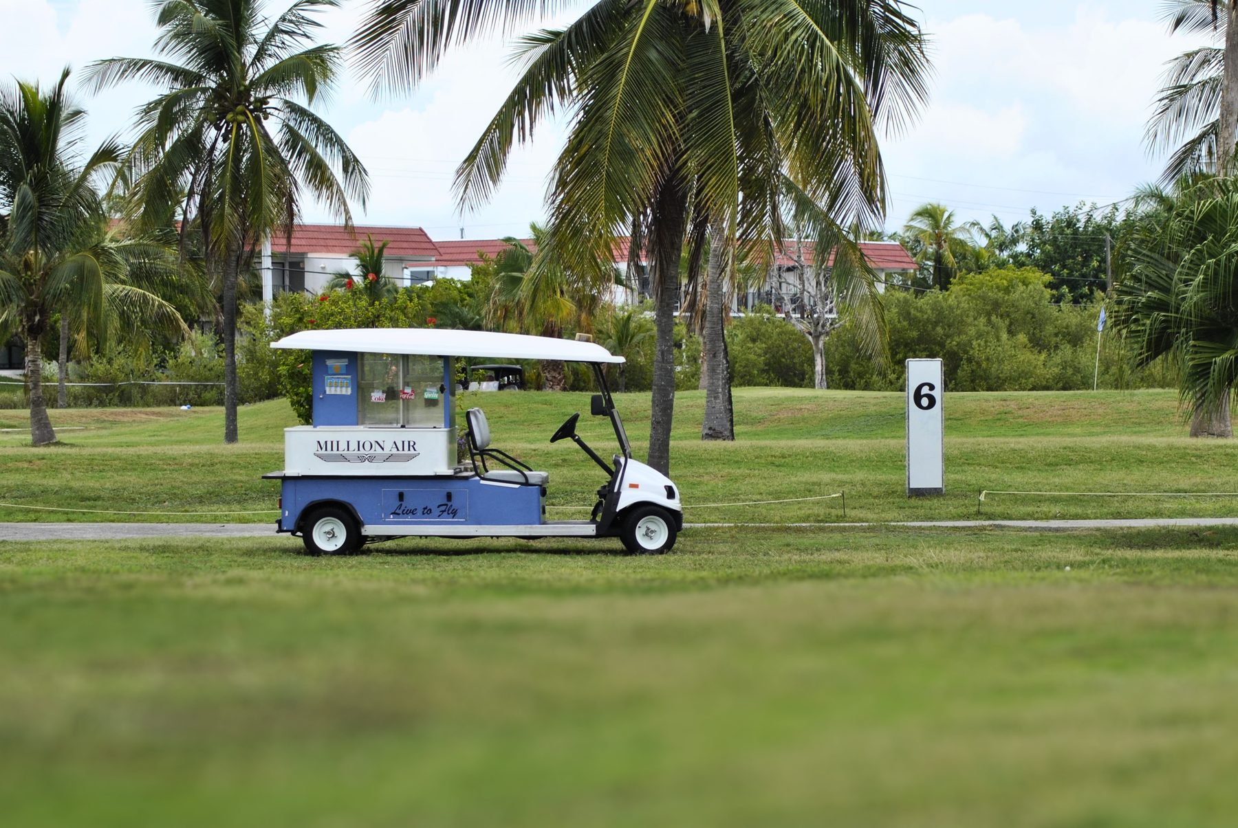 FIRM Golf Tournament — photo 62
