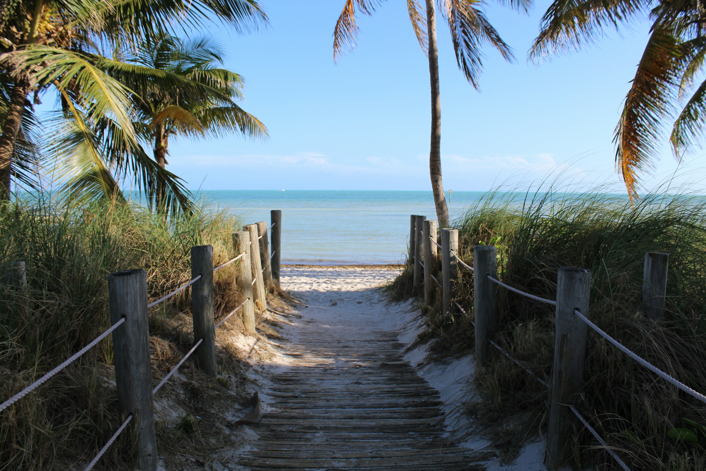 A sandy path leading through sea grass to a Florida Keys beach