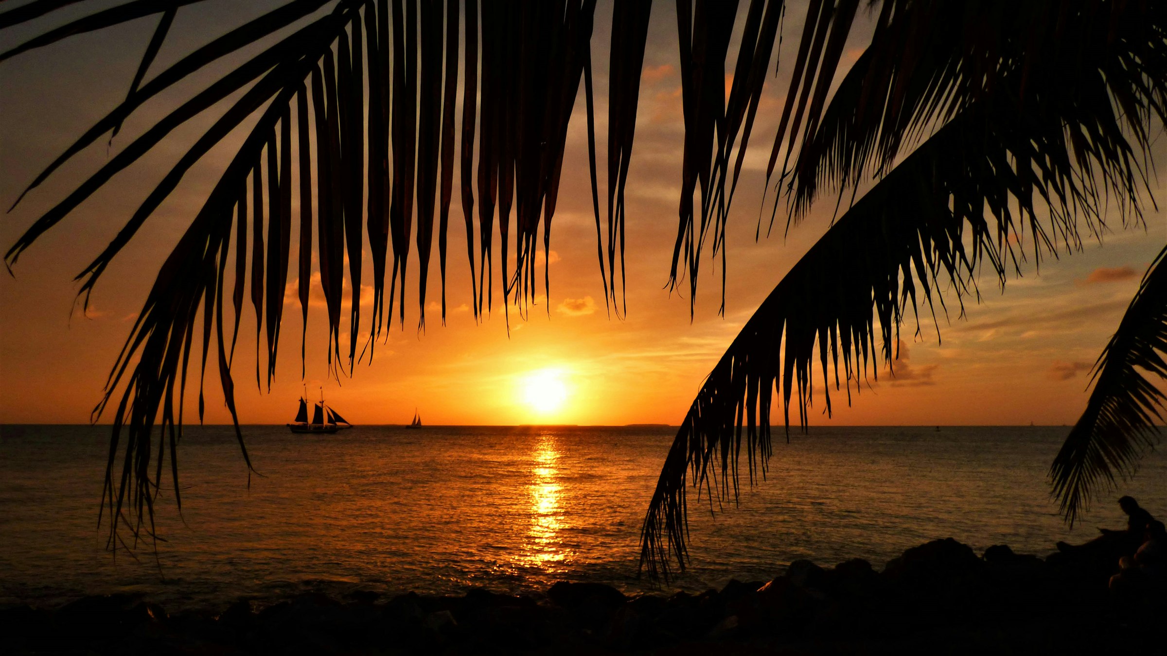 Sunset over a tropical beach framed by palm fronds