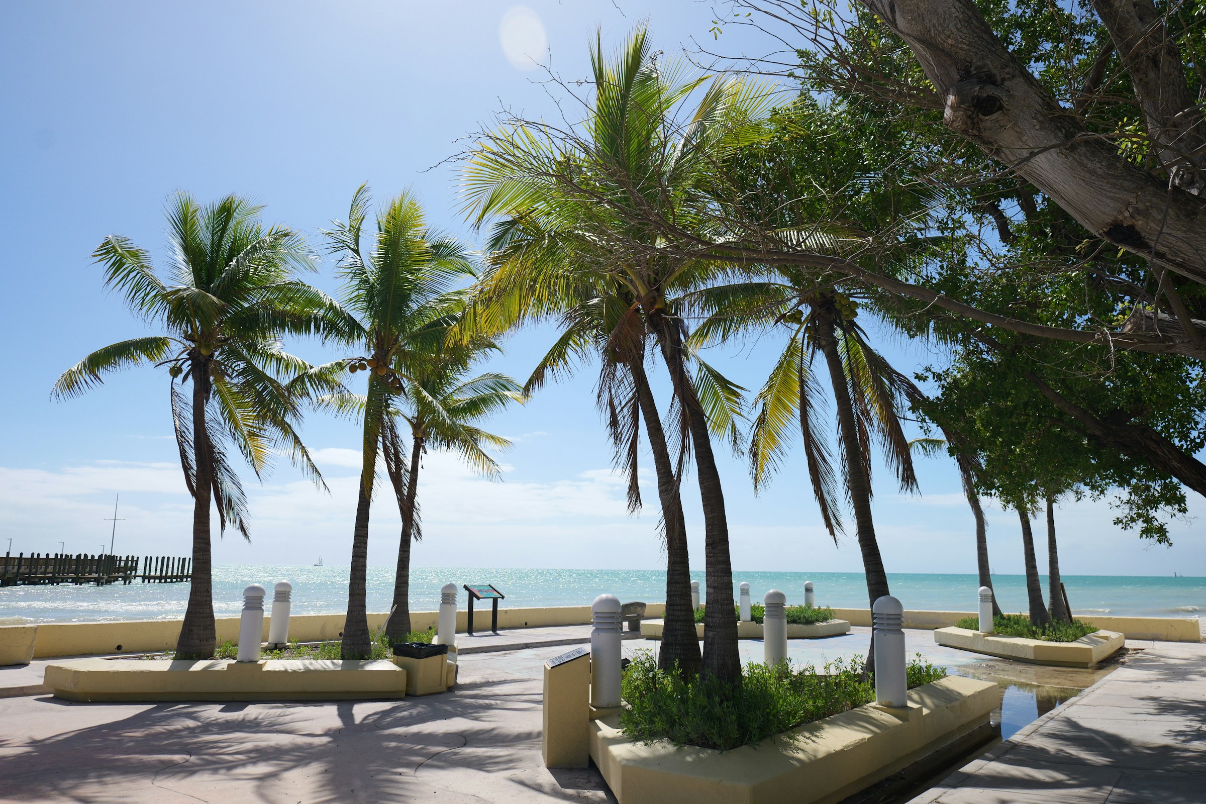 Palm trees and benches along a Florida Keys waterfront park